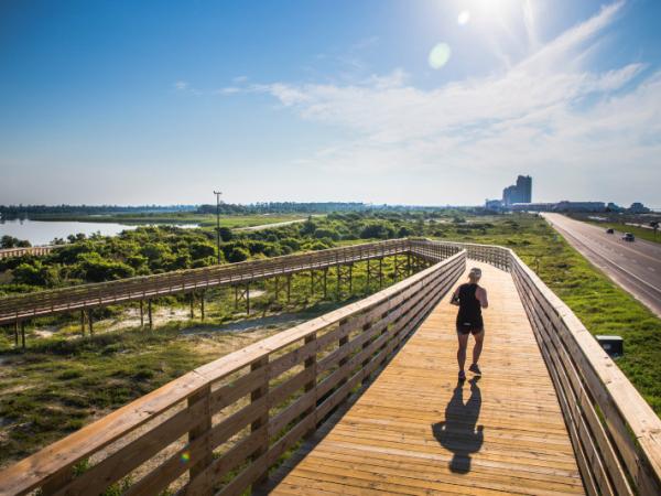Hiking in the Gulf State Park