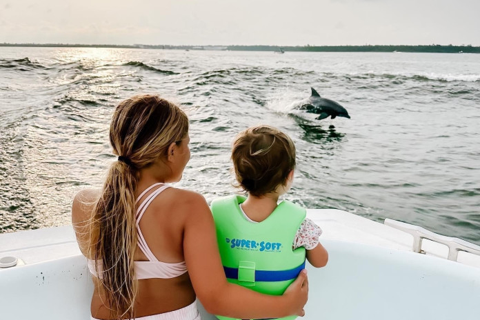 Dolphin Cruises (Cold Mil Fleet)