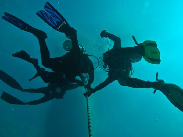 Orange Beach scuba dive