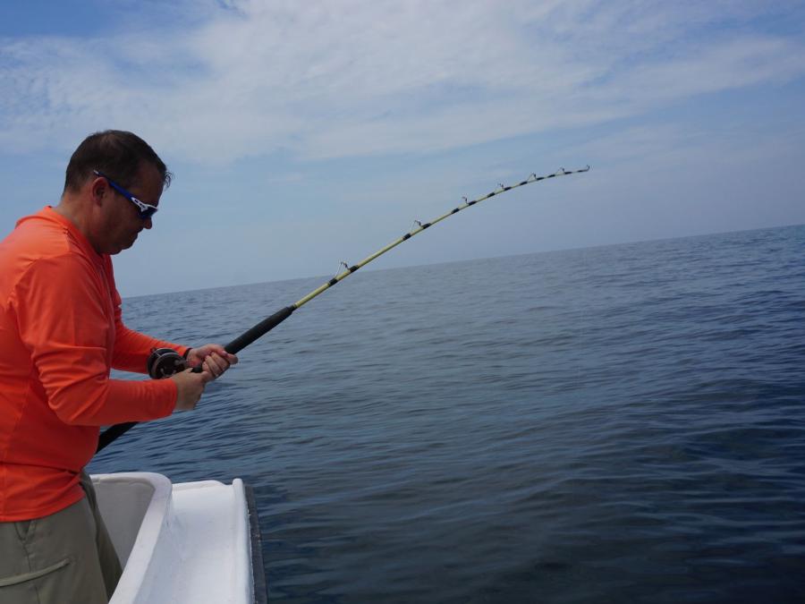 Fishing Seasons Gulf Shores & Orange Beach