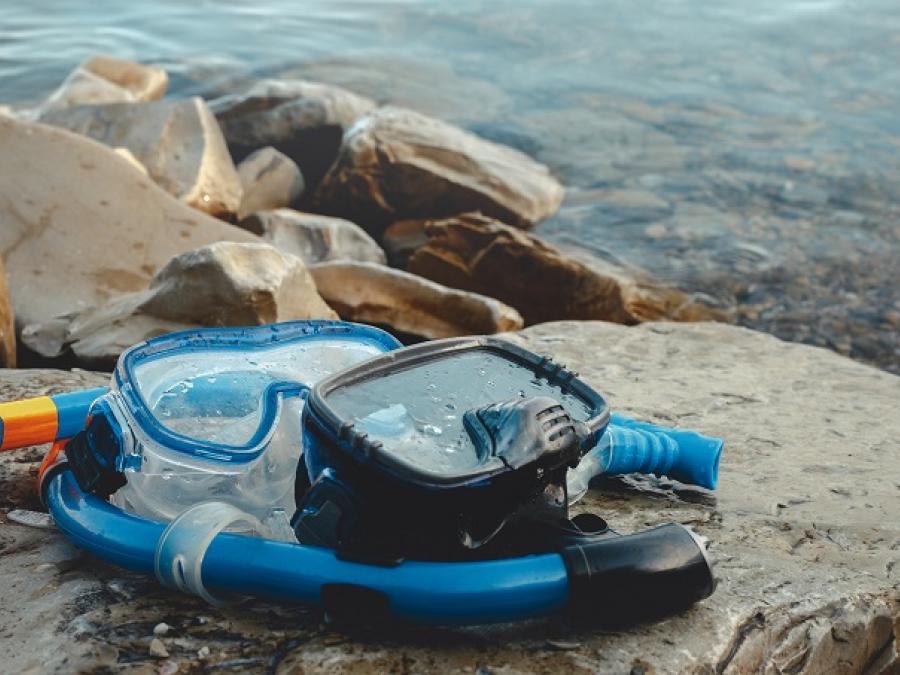 Snorkel Orange Beach