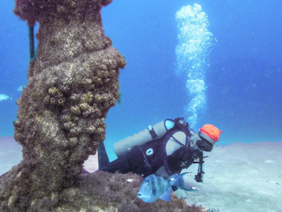Scuba diver at Poseidon's Playground in Orange Beach, AL